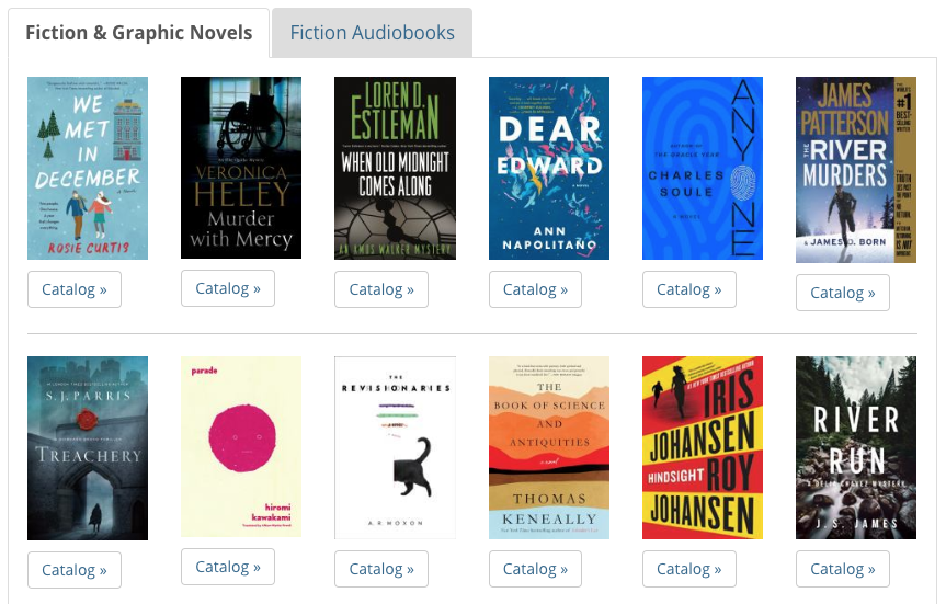 Screenshot of updated New Releases page, showing Adult Fiction and Audiobooks