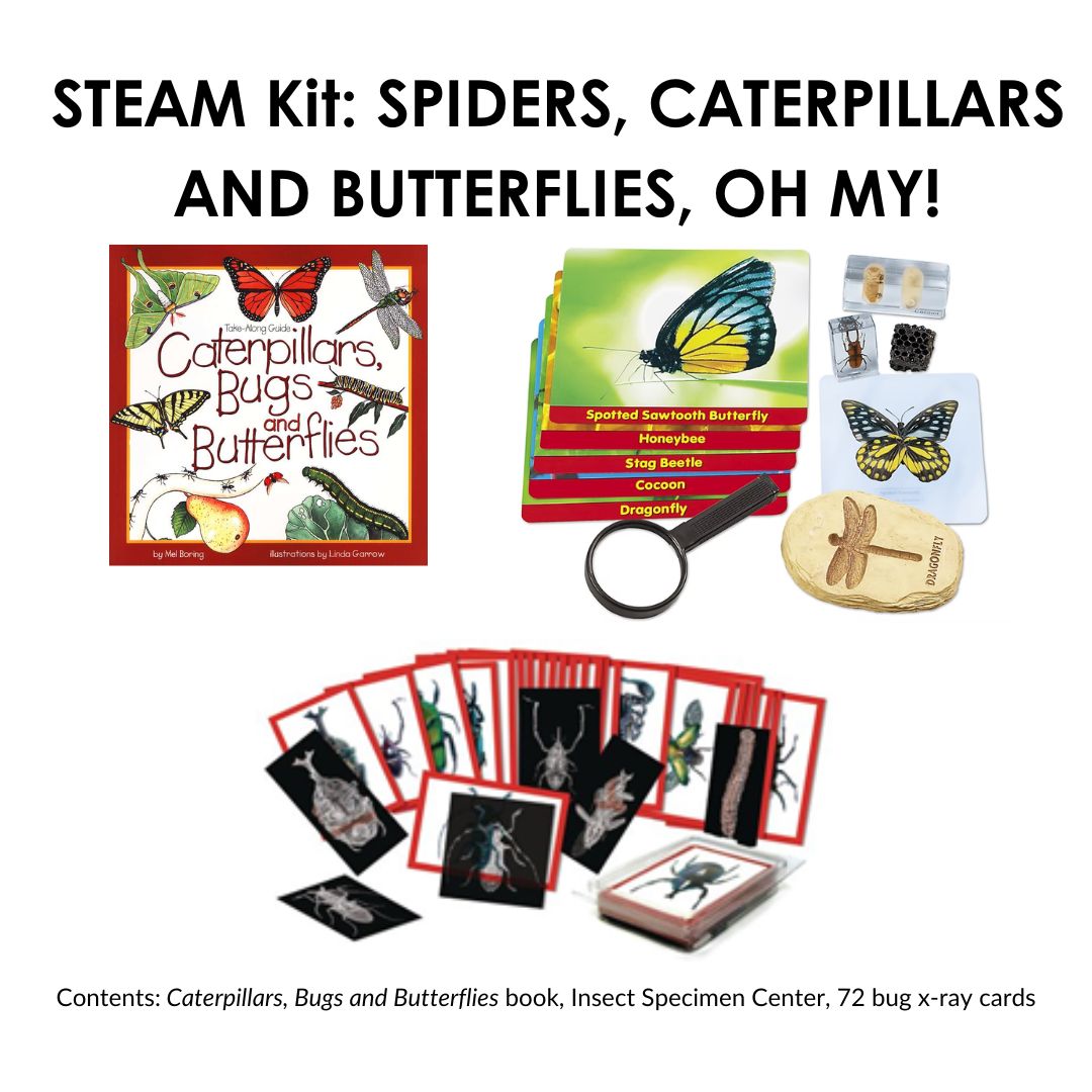 Spiders, Caterpillars and Butterflies Oh My! kit