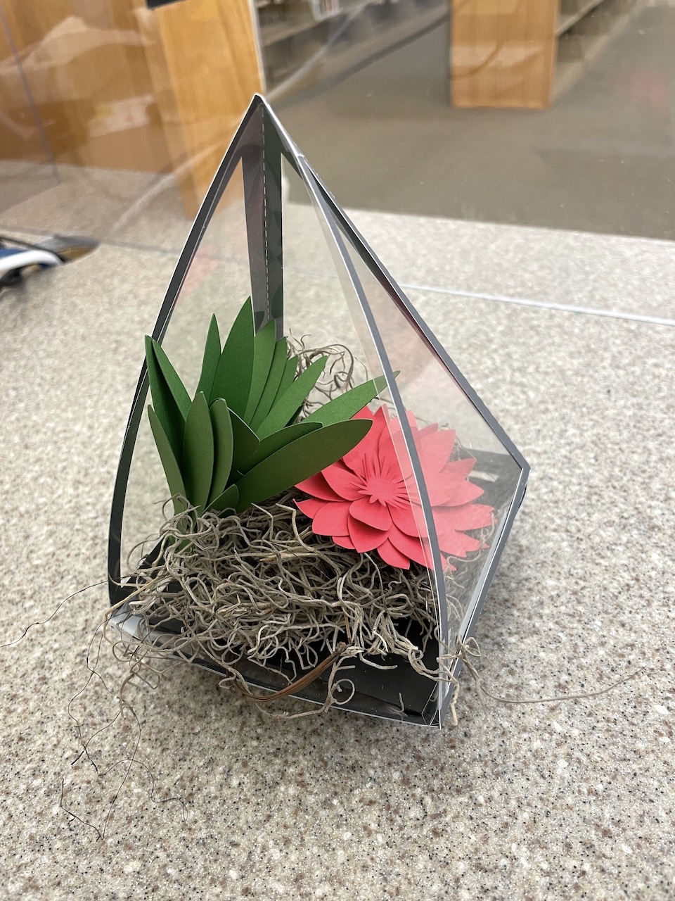 paper terrarium 