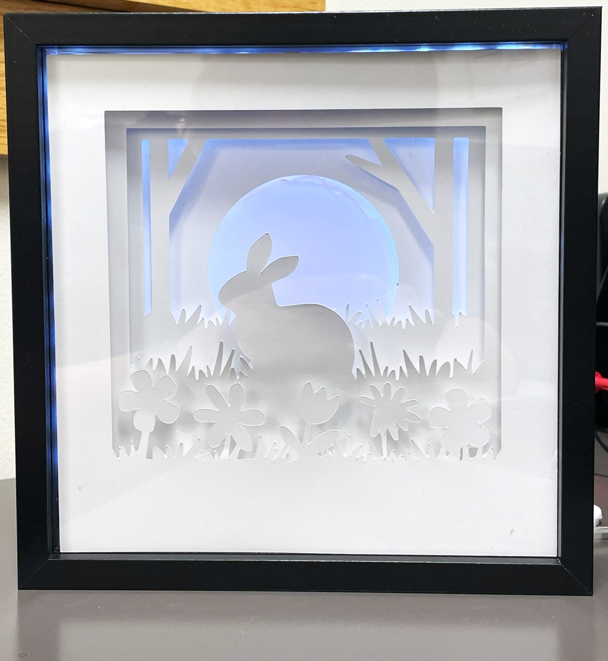 shadow box bunny